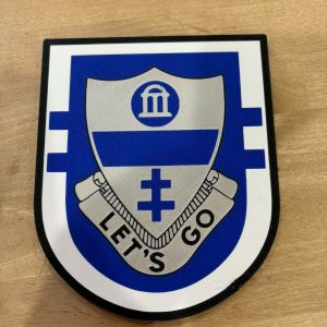 2Bn 325th Flash Crest